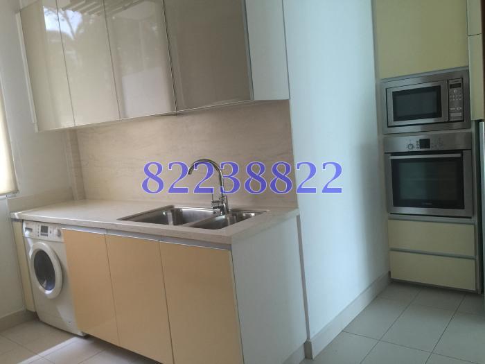 The Solitaire (D10), Condominium #62328802